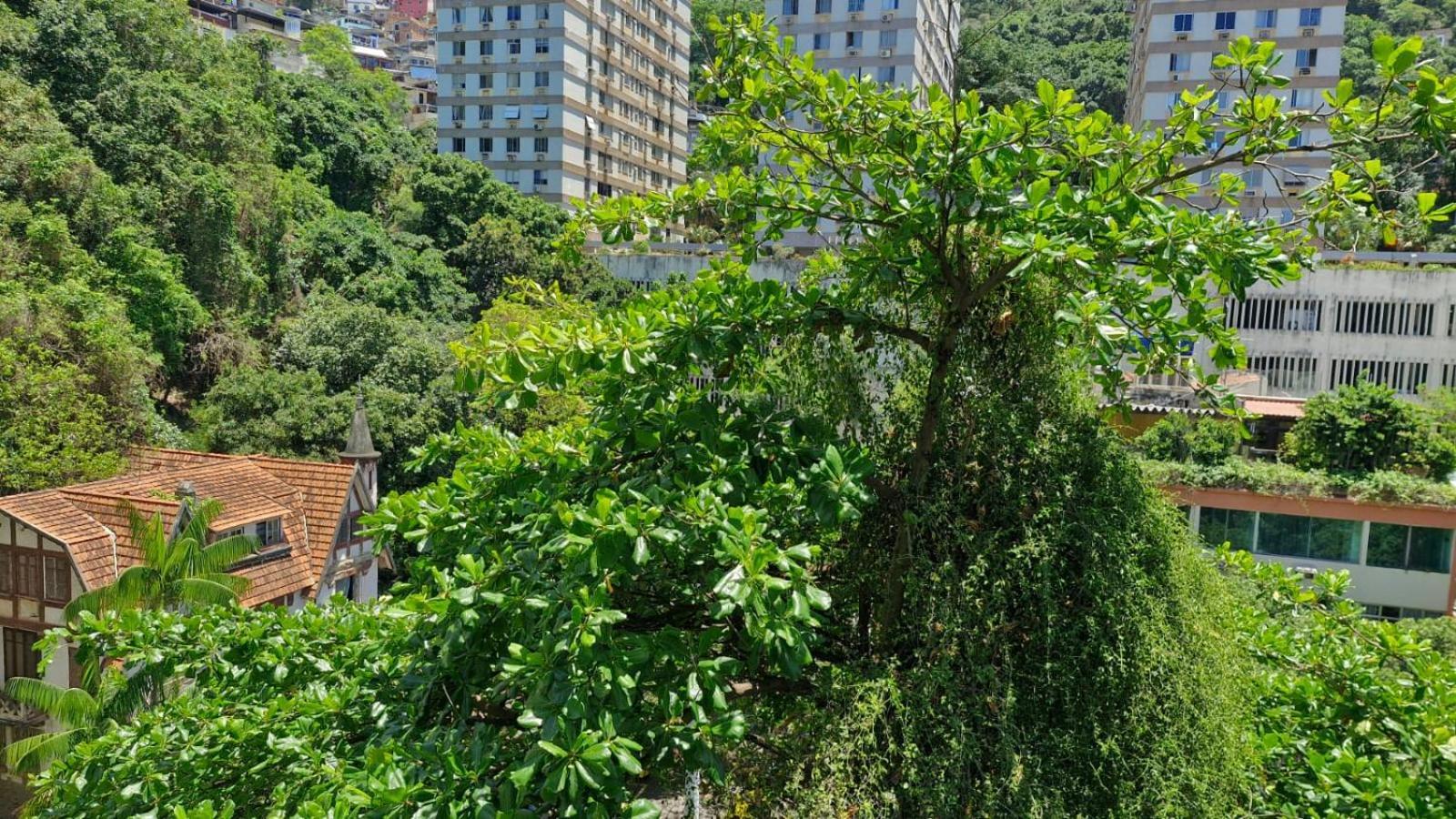 Apartamento Rua Santa Clara Andar Alto Vista Livre Com Garagem